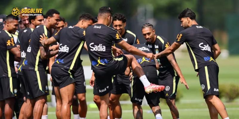 Vũ điệu Samba rực lửa: Các ngôi sao Brazil quyết tâm khẳng định sức mạnh trước trận gặp Nhật Bản tại World Cup 2026.